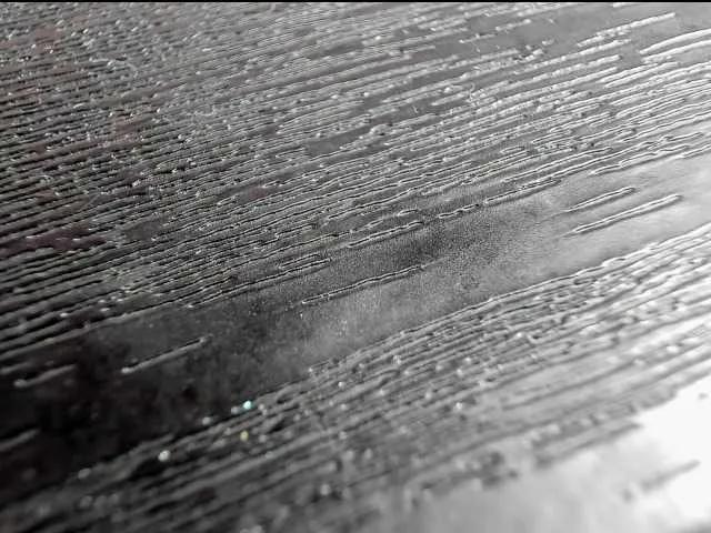 sashsapety on BongaCams 