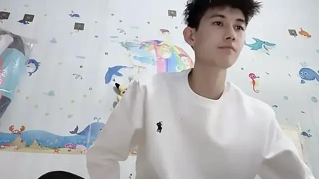 xiaojie2563 — vxKaiquan2563